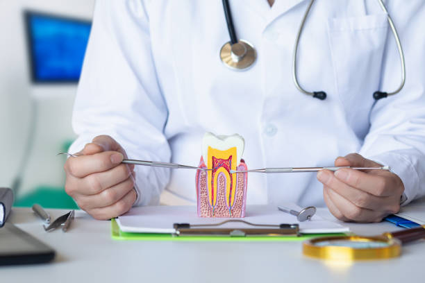 Best Knocked-Out Tooth (Avulsed Tooth) Treatment in Dennison, OH